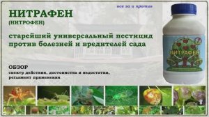 Нитрафен (Нитрофен) - универсальное средство от всех болезней и вредителей сада. Стоит ли купить?