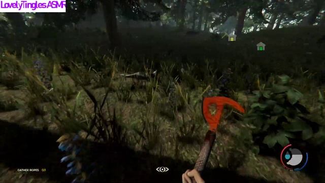 ASMR - The Forest - Episode 1 смотреть онлайн