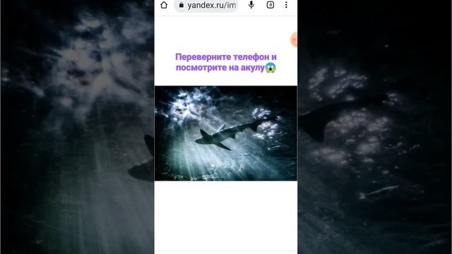 акулы это демоны😱 смотреть онлайн