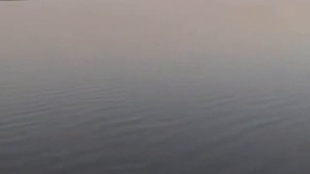 Zog'ara #Baliq Ovi _ #Подписаться Qilishni Unutmang 😆😆☝️😉😉👍