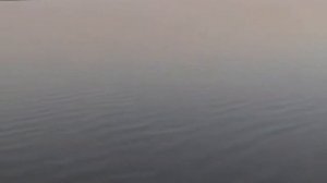 Zog'ara #Baliq ovi _ #Подписаться Qilishni Unutmang 😆😆☝️😉😉👍