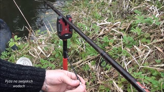 JRC KURVE INDICATOR SYSTEM SET OF - Moja Krótka Prezentacja
