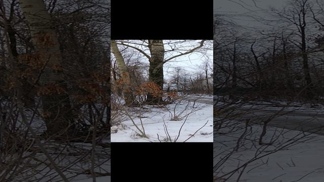 Верность смотреть онлайн