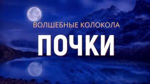 ПОЧКИ*МУЗЫКА ДЛЯ ЗДОРОВЬЯ ПОЧЕК С ПОЮЩИМИ ТИБЕТСКИМИ ЧАШАМИ*ИСЦЕЛЕНИЕ ЗВУКОМ*ВОЛШЕБНЫЕ ЧАСТОТЫ
