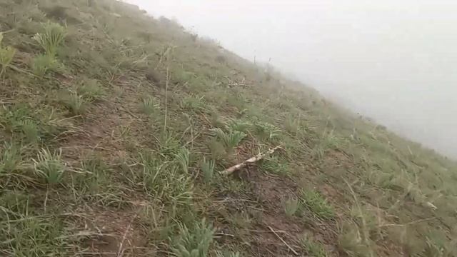 Як сайру гашт дар табиати имрӯза 17 04 2023г смотреть онлайн