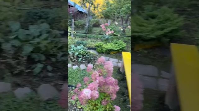 Доброе Утро✨ Прекрасный Вид😍 #Shorts #video