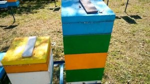 Это не тропи