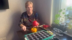 Посадка семян баклажанов и перца на рассаду| Срок посадки по лунному календарю