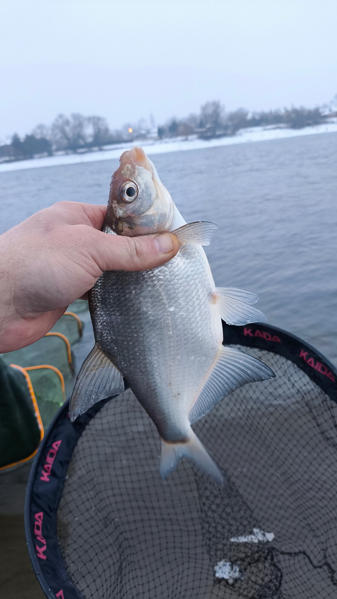 Поймал, отпусти! Сезон фидерной рыбалки 2025 открыт смотреть онлайн