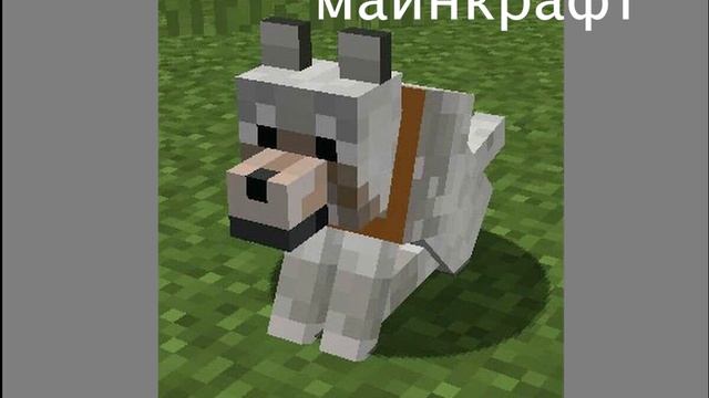 Реальная жизнь - майнкрафт смотреть онлайн