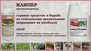 Клипер - главное средство от короеда (стволовых вредителей) хвойных и лиственных деревьев. Обзор