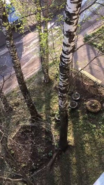 Крысы на Димитрова смотреть онлайн