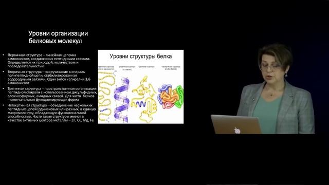 1 Функциональное значение макронутриентов в питании человека Введение Белки смотреть онлайн
