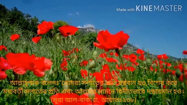নামাজে মনোযোগী হওয়ার চমৎকার একটি পদ্ধতি | নামাজে মনোযোগ হবার উপায় смотреть онлайн