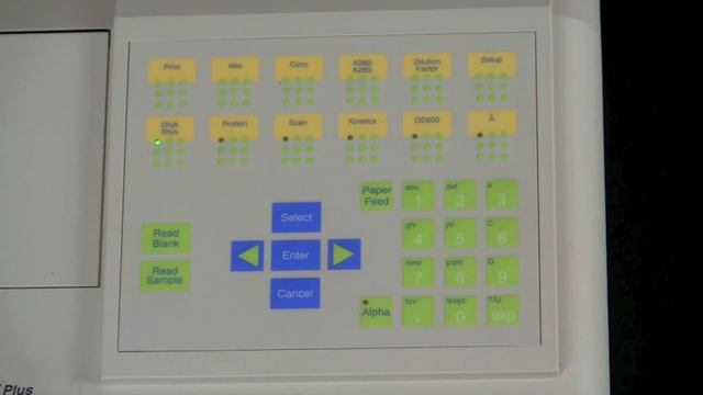 DNA Quantitation Using A Spectrophotometer