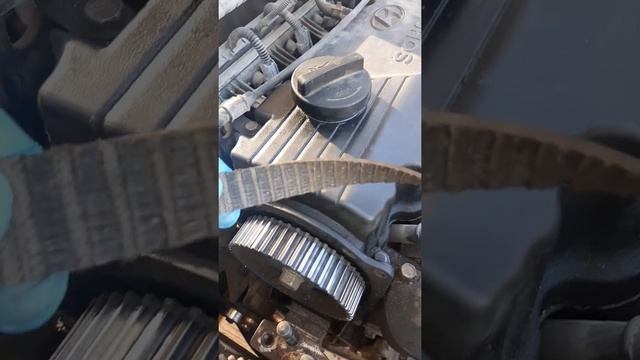 caducidad en las correas de tiempo o distribucion смотреть онлайн