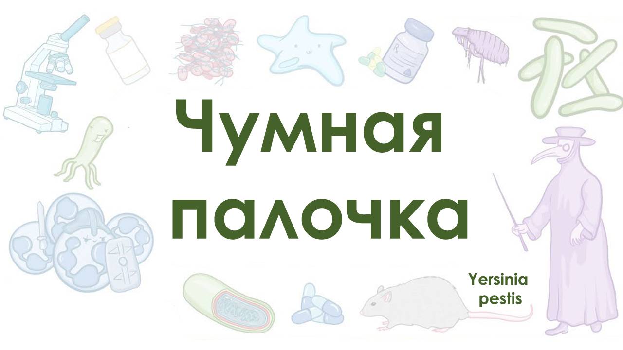 Чумная палочка - Yersinia pestis - микробиология смотреть онлайн