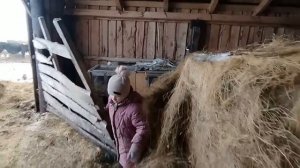 Альтернатива дорожающему топливу #43 Транспорт XXI века!