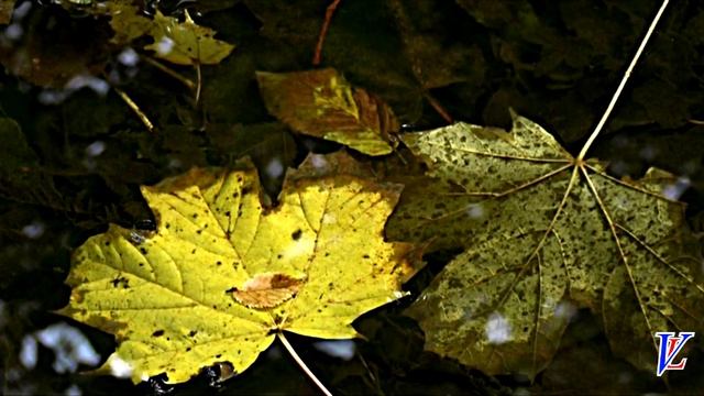Окончен школьный роман. смотреть онлайн