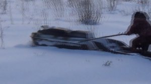 Ролик от владельца #21