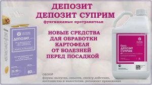 Депозит и Депозит Суприм - новые средства для обработки картофеля от болезней перед посадкой. Обзор