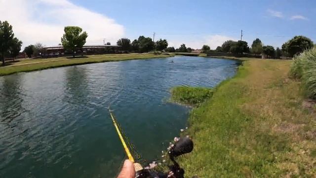 Try a Rapala X-Rap for Ultralight Bass Fishing! смотреть онлайн