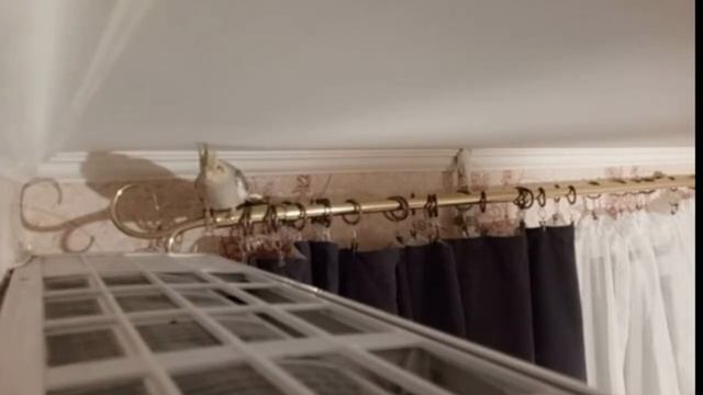 НАБЛЮДАЕМ ЗА РИВОЙ (КОРЕЛЛОЙ) смотреть онлайн