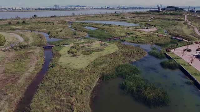 Ninebot Mini Riding & Shoot film with Phantom4, Gopro смотреть онлайн