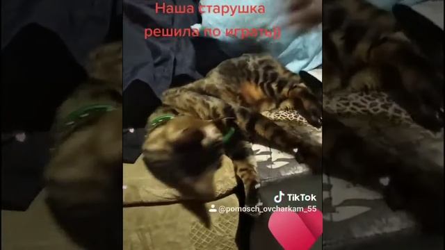 Наша Форти,старушенция. смотреть онлайн