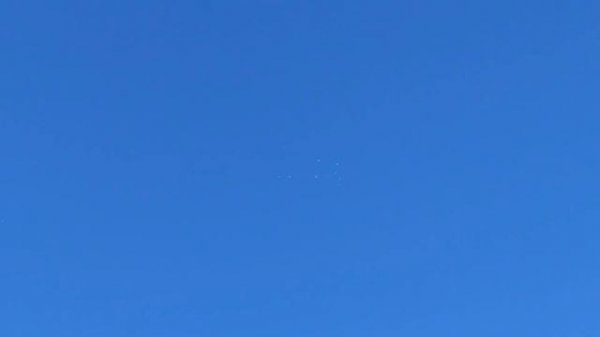 Ижевские голуби. Полёты 23.07.24.