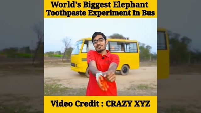 World's Biggest Elephant Toothpaste Experiment In Bus #shorts #crazyxyz смотреть онлайн