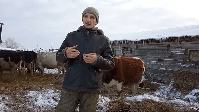 Как поднять молоко 2 часть - результаты! смотреть онлайн