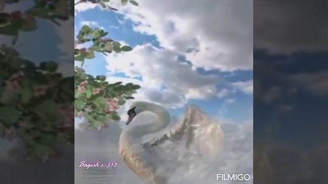 Кутман тан ыр-белек смотреть онлайн