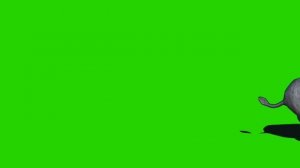 Zoo animal green screen