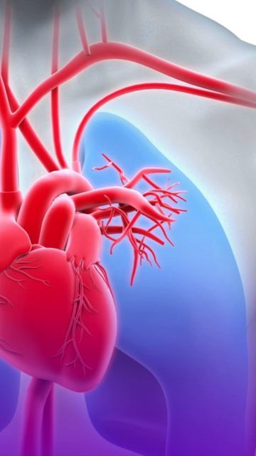 Хватит лечить сердце таблетками! #shorts #бубновский #упражнения смотреть онлайн