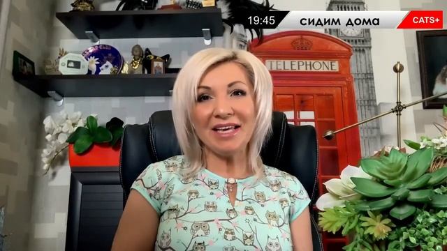 Питание для котов и кошек - Каша RUMFOLD CAT BULL смотреть онлайн