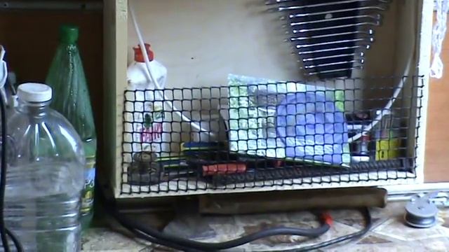 полочки смотреть онлайн