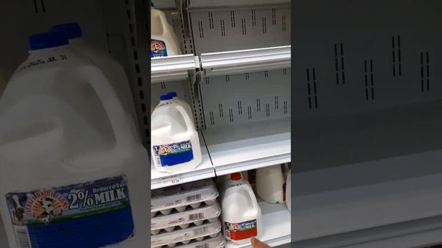 Milk price in #usa #shortsfeed #shorts #short #youtubeshorts #ytshorts #america смотреть онлайн