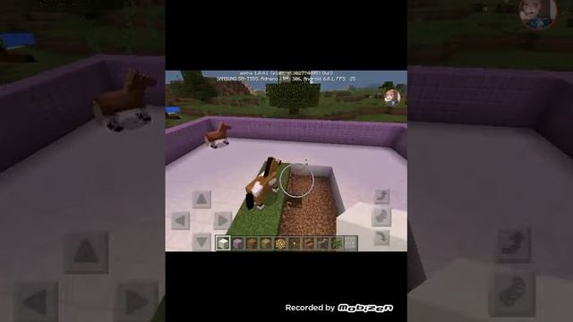 Minecraft și fazan cu FELINA ALBĂ смотреть онлайн