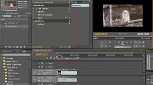 Удаление и Отключение Эффектов в Adobe Premiere Pro