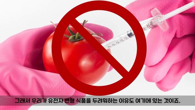 진정세균과 고세균은 과연 유성생식을 할까? | 수평적 유전자 전달(Horizontal gene transfer) смотреть онлайн