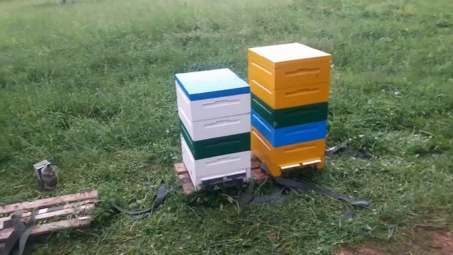 мини плюсы что получилось в итоге смотреть онлайн