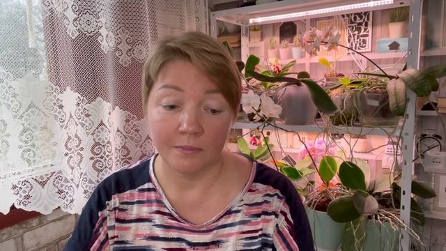 729.4 года без Мамы. смотреть онлайн