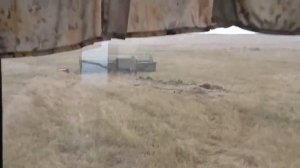 Смолотили пшеницу и... встали на грань банкротства #34