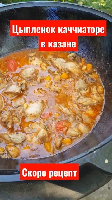Цыпленок каччиаторе в казане смотреть онлайн