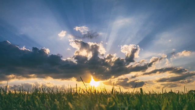 トロイメライ／YUKI 映画『コーヒーが冷めないうちに』主題歌【cover】 смотреть онлайн