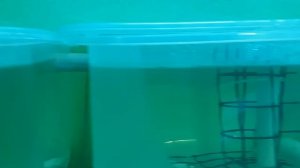 Бюджетный УЗВ своими руками.