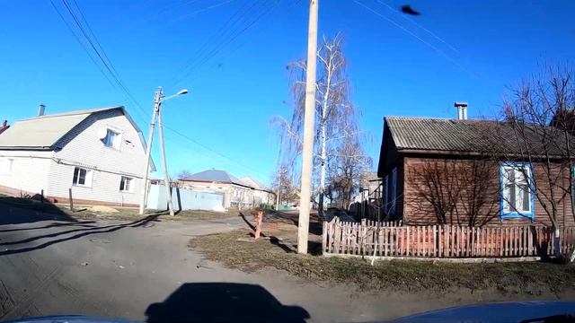 Звериные шутки