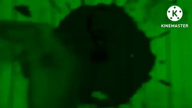 Маша, Все хорошо Csupo Effects (Sponsored by Nein Csupo Effects) смотреть онлайн