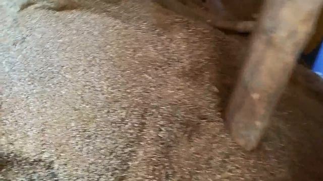 Экструдер часть 2. Реальный отзыв #11 смотреть онлайн